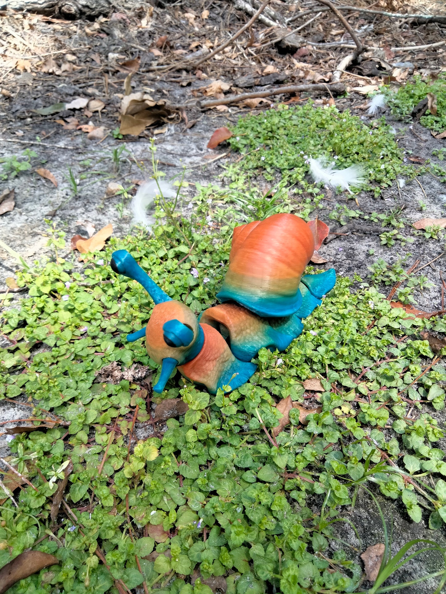 Sarge the snail