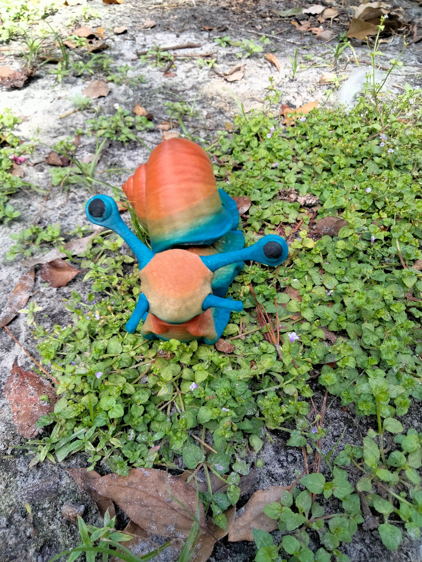 Sarge the snail