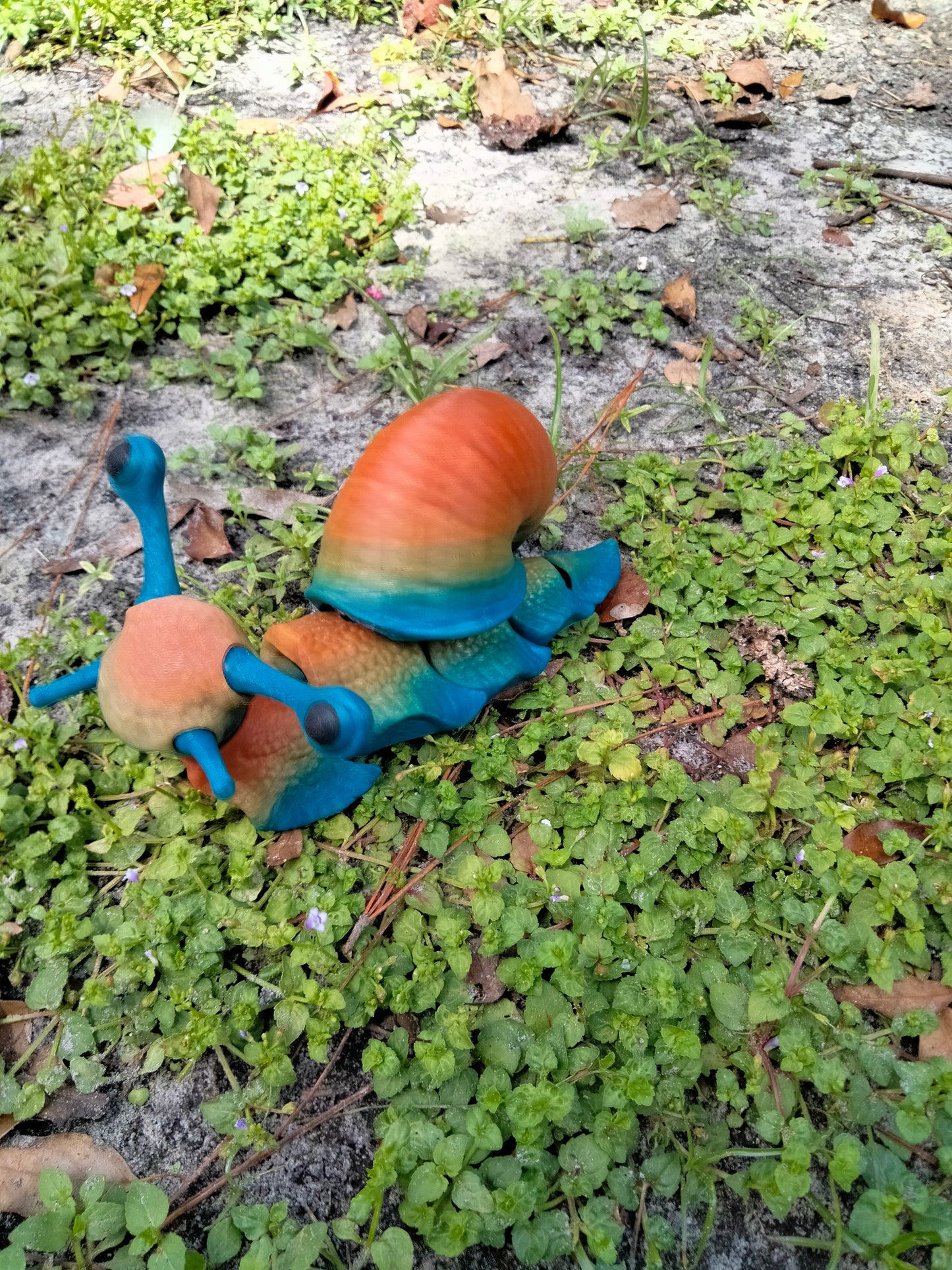 Sarge the snail