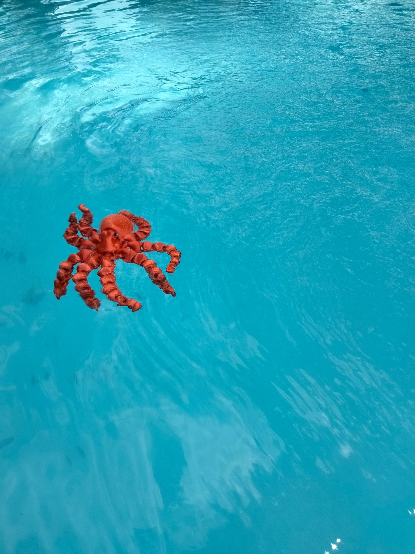 Slime the octopus