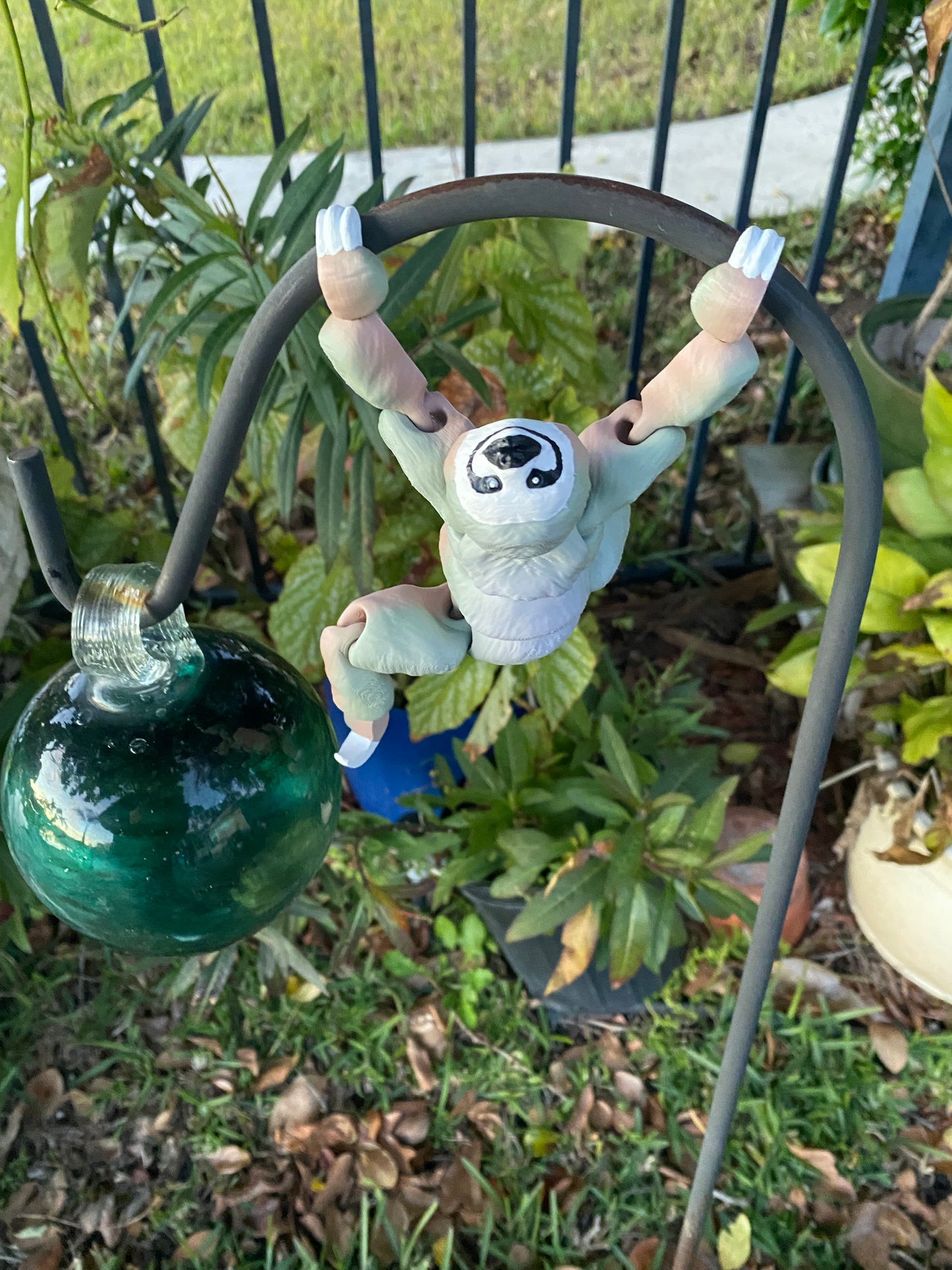 Craig the sloth