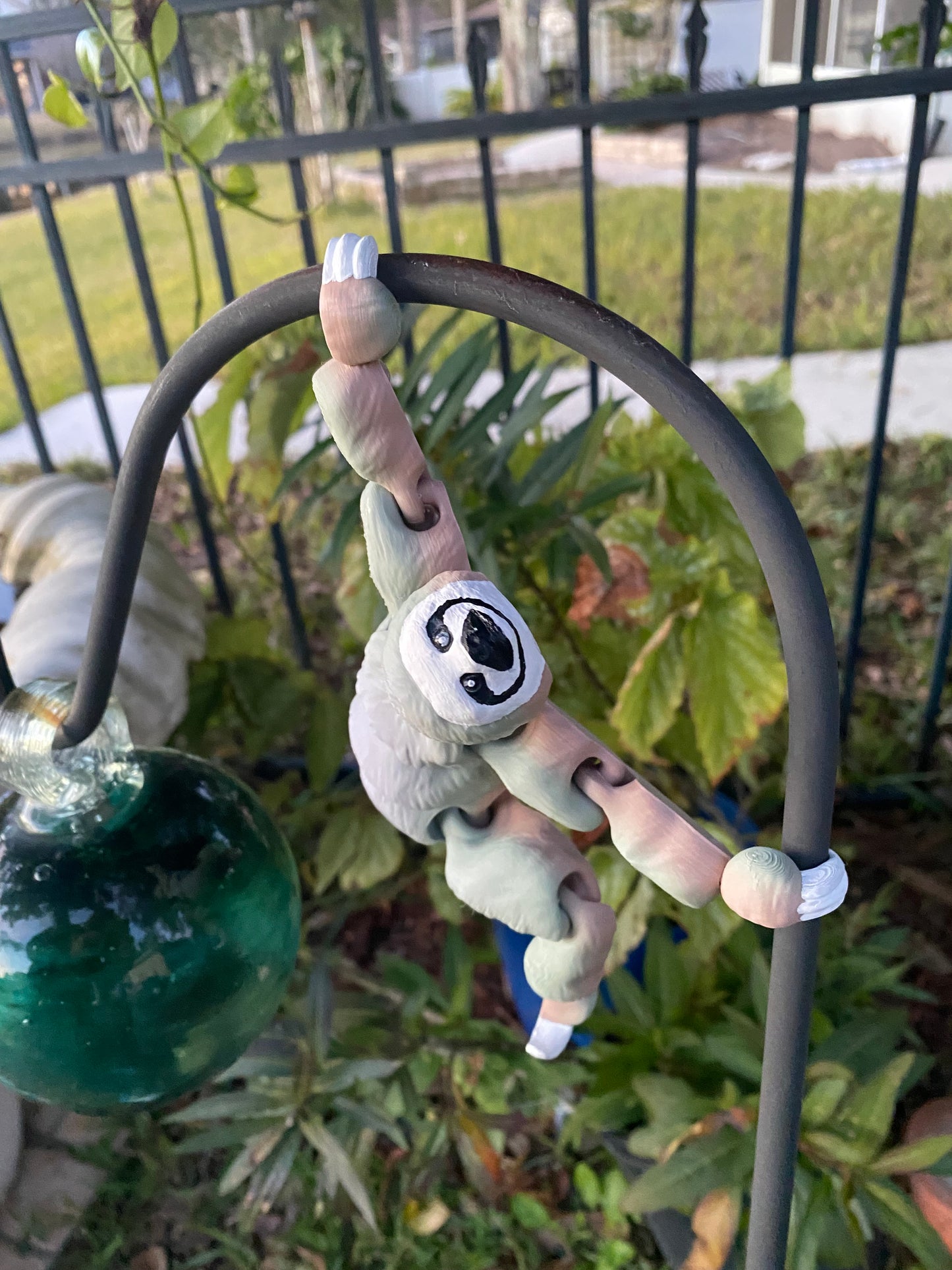 Craig the sloth