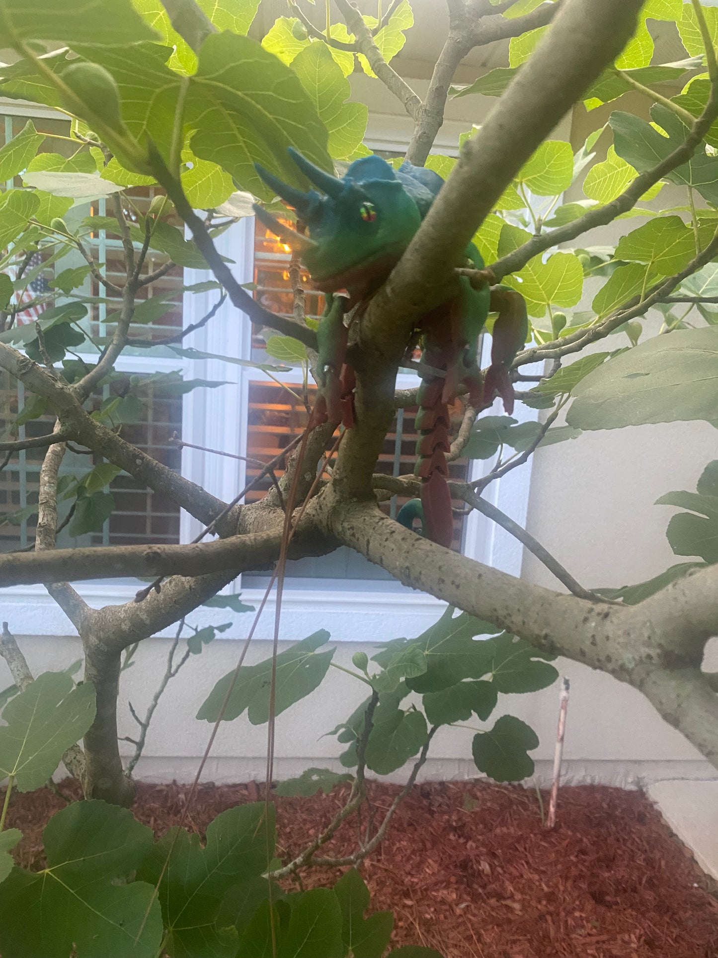 Spike the horned chameleon