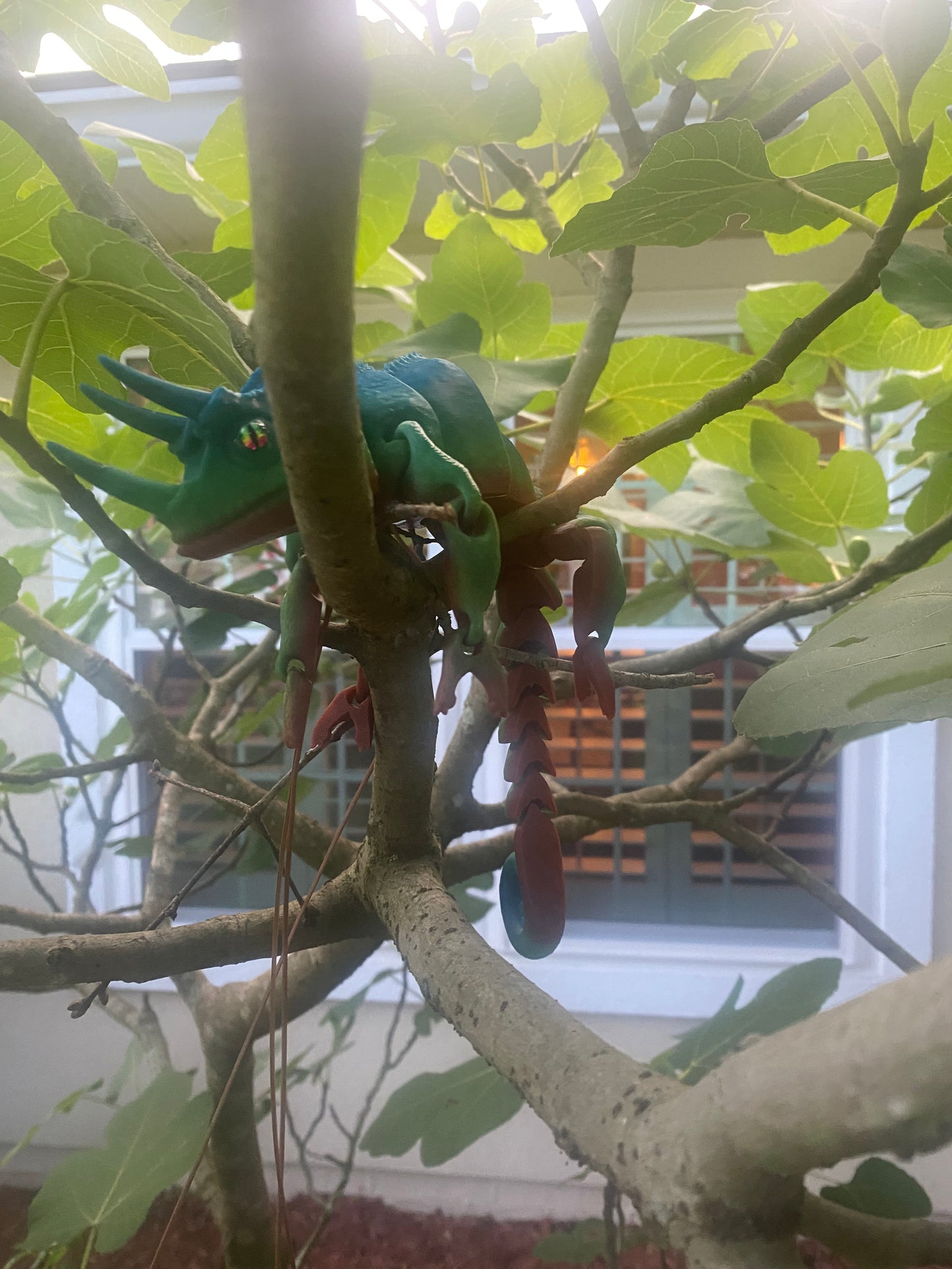 Spike the horned chameleon