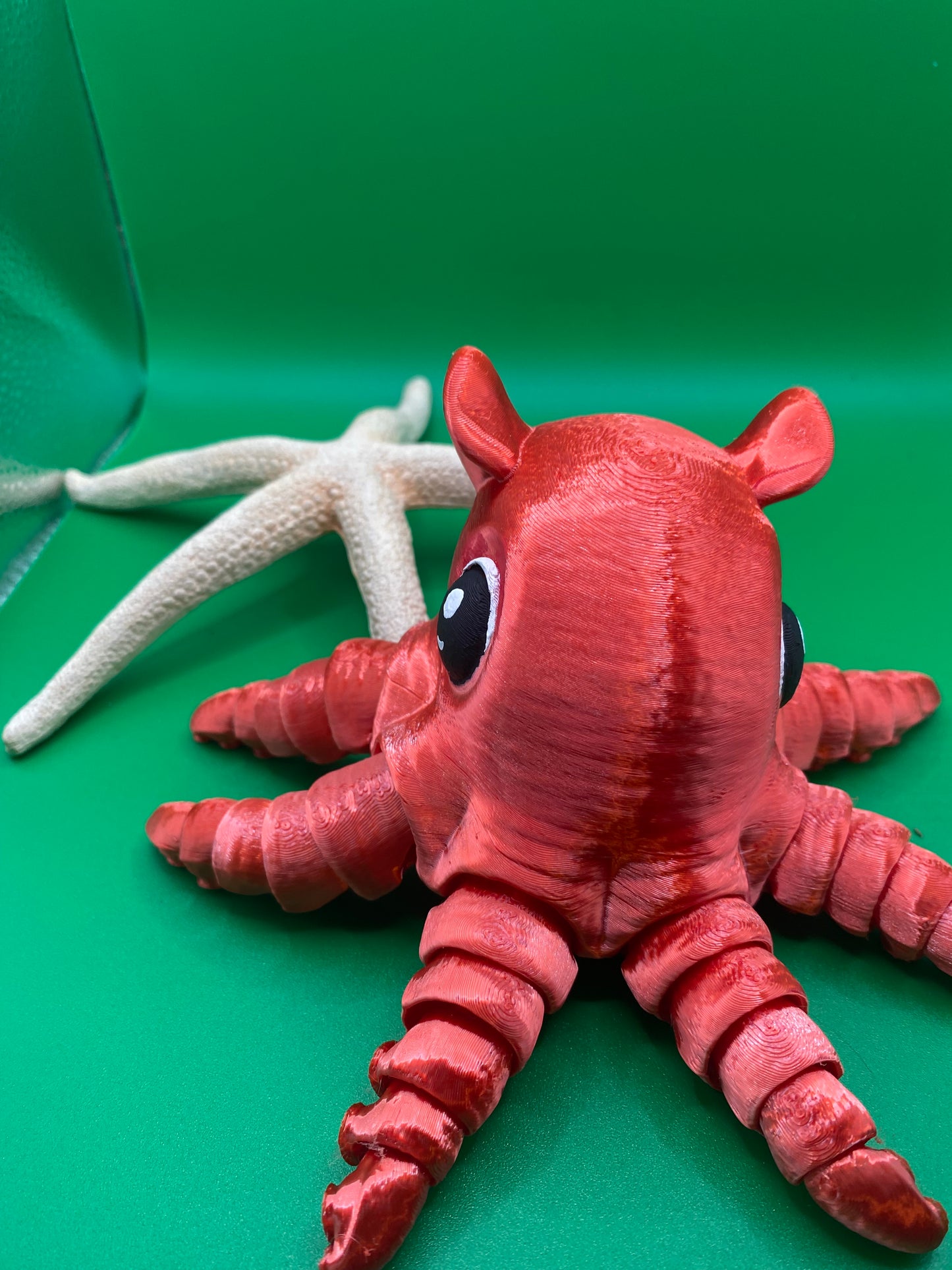 Pancake the flap jack octopus