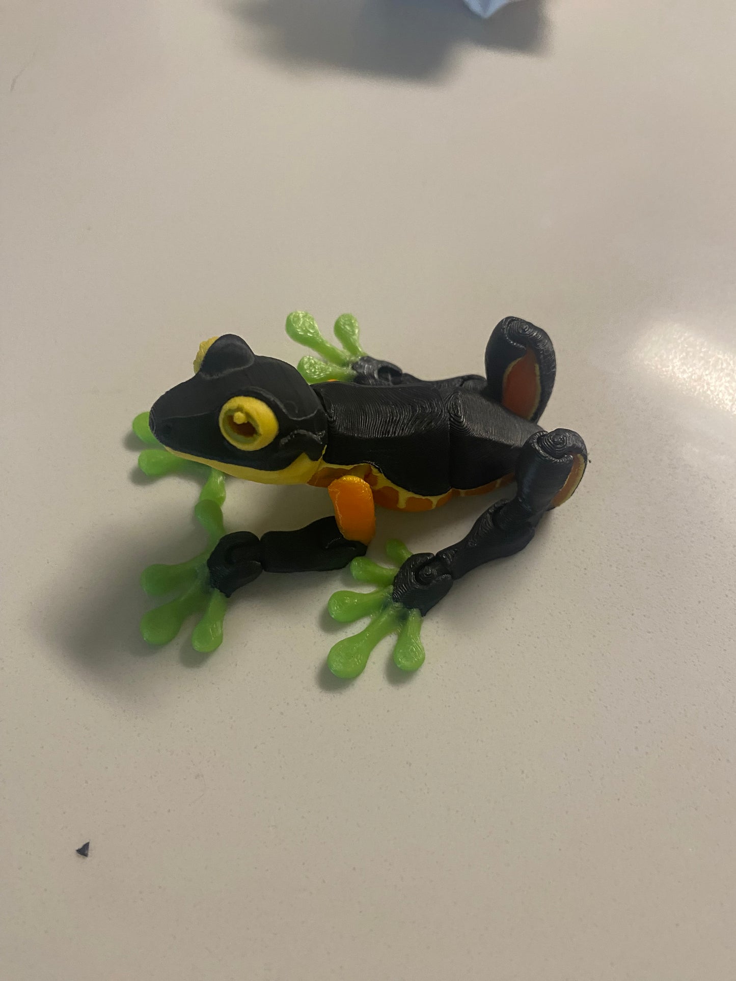 Number the Multi colored tree frog