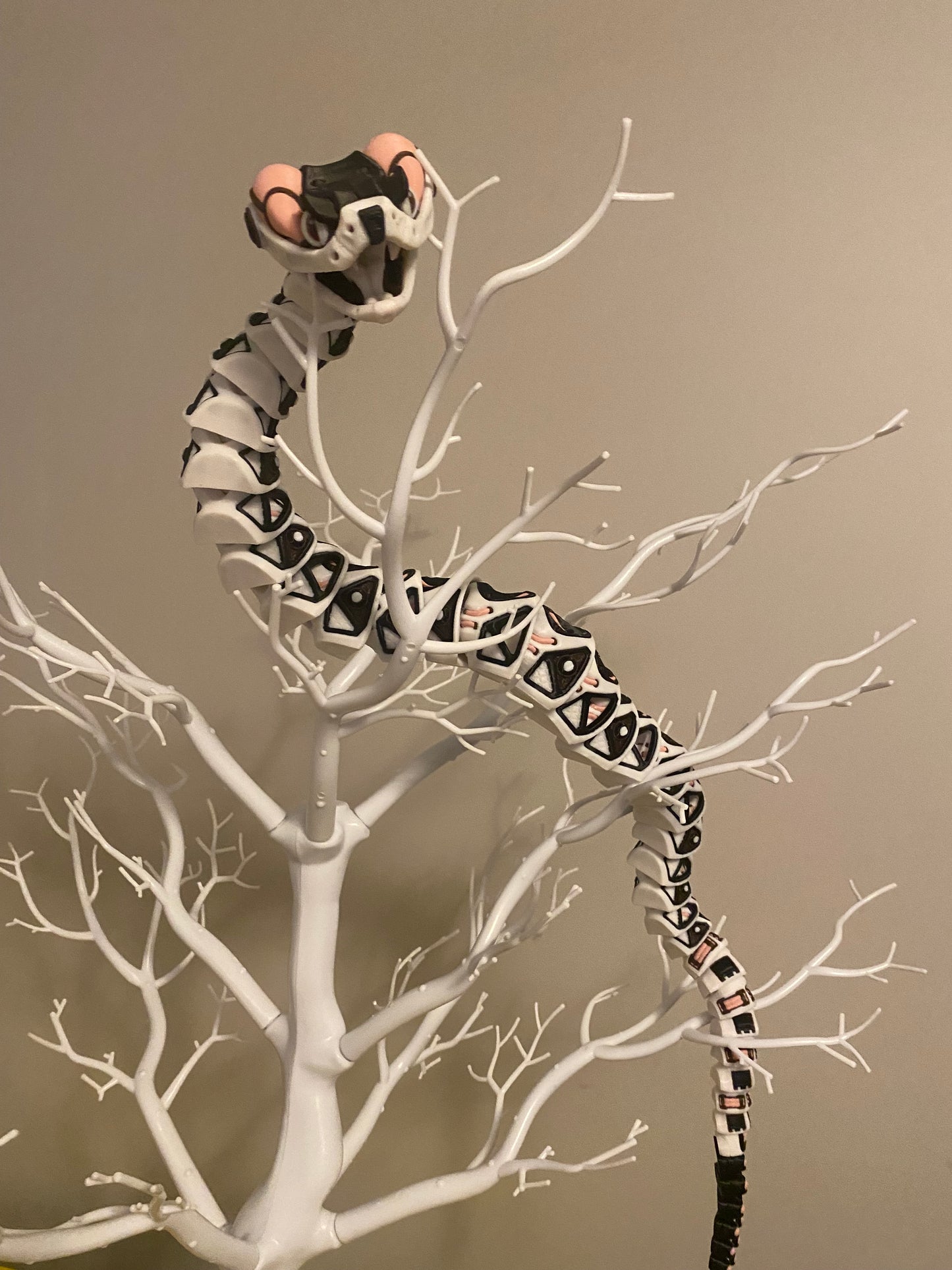 Moo the Multicolored snake