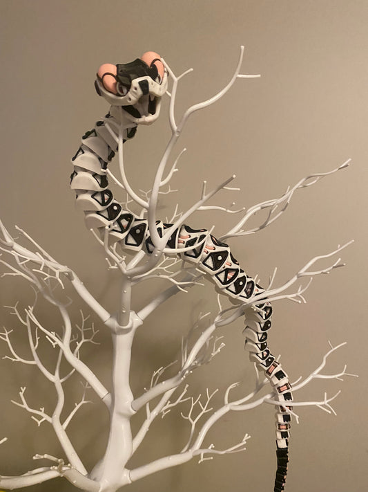 Moo the Multicolored snake