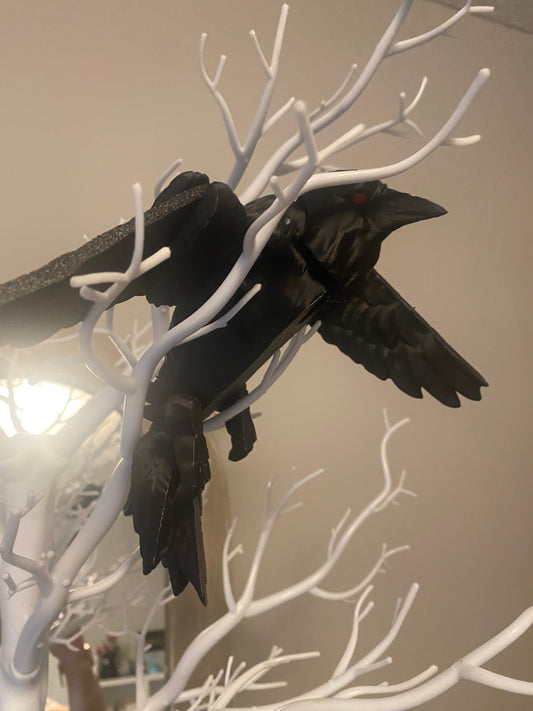 Caw the Crow